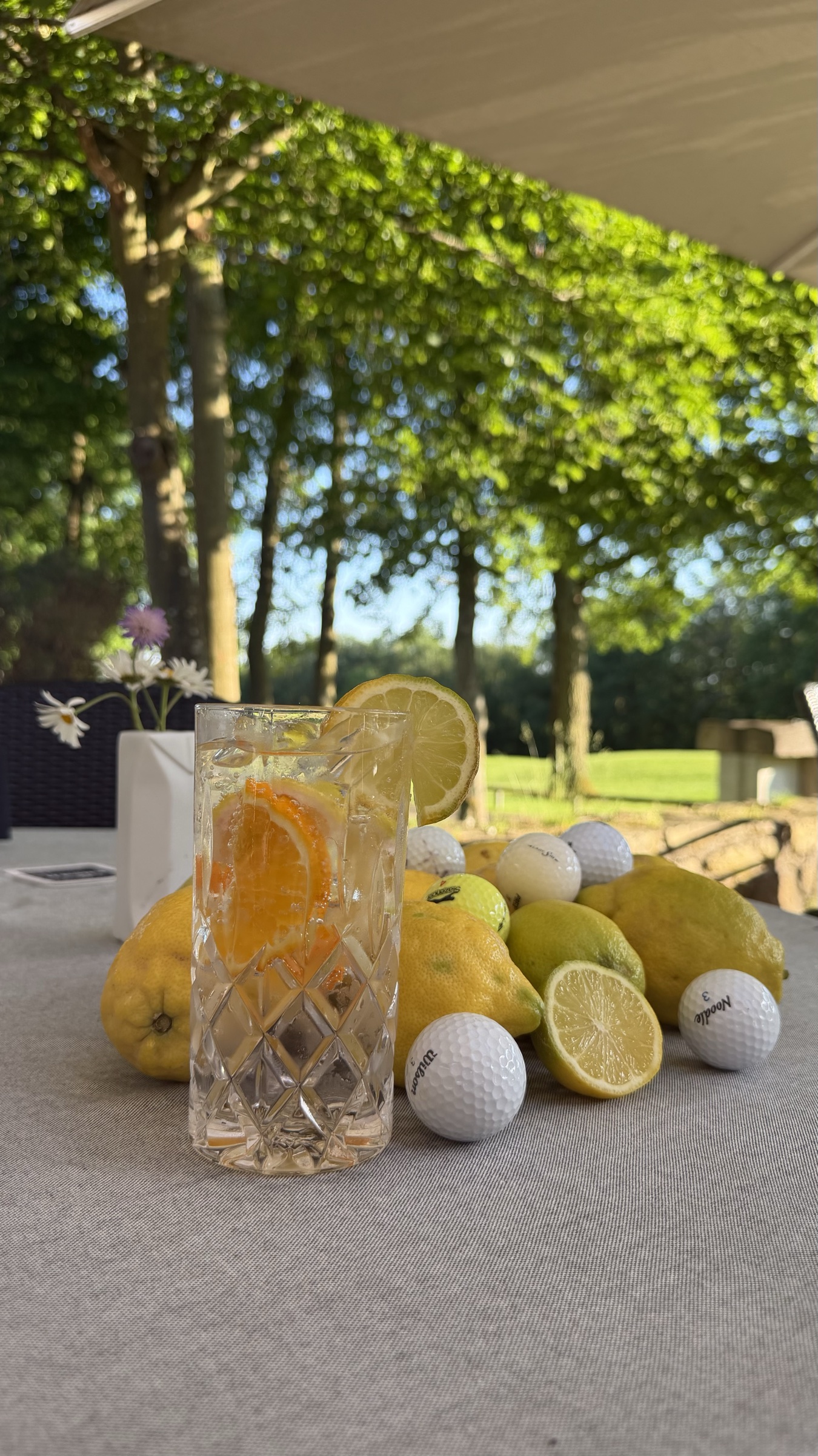 Zitronen und Golfbälle als Dekoration