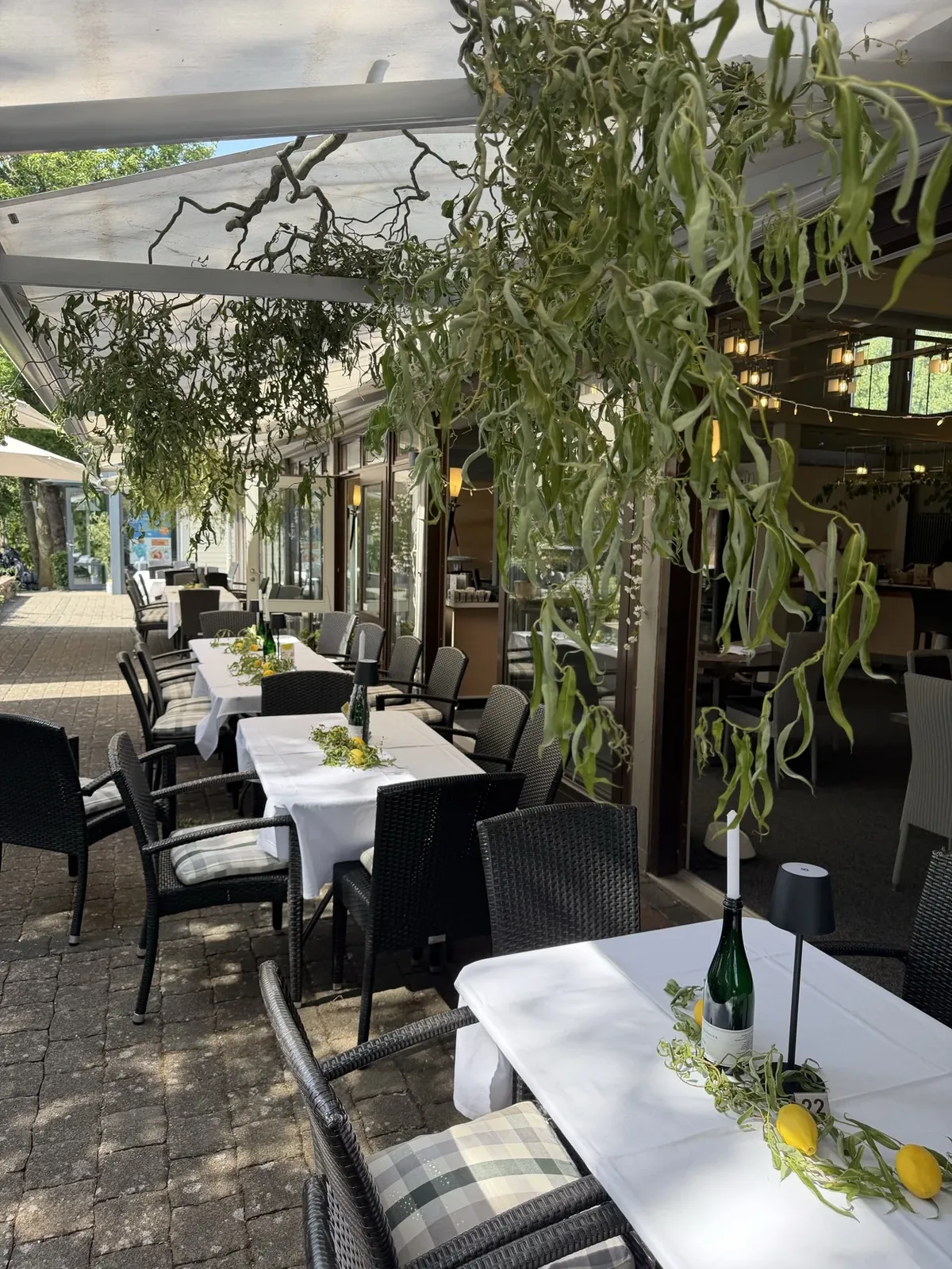 Gedeckte Terrasse entlang der Glasfassade mit hängendem Grün